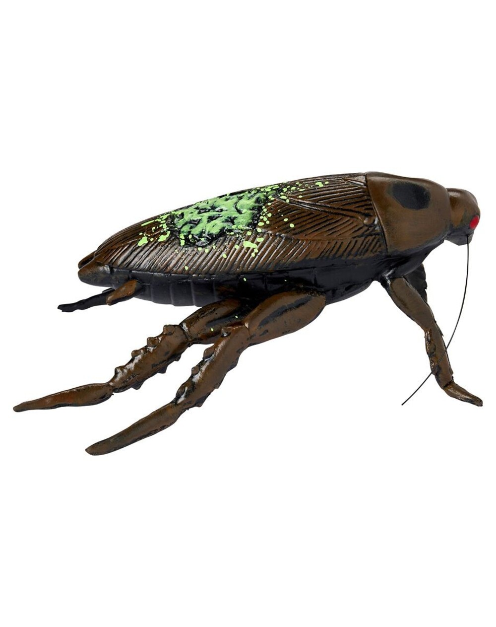 Zombie Cockroach Static Prop - Picture 3 of 4